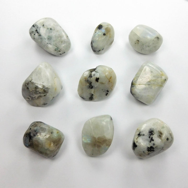 Bulk Wholesale Lot 1 Kilo ( 2.2 LBs ) Moonstone Tumbled Rainbow Polished Stones Authentic Gemstones Crystals