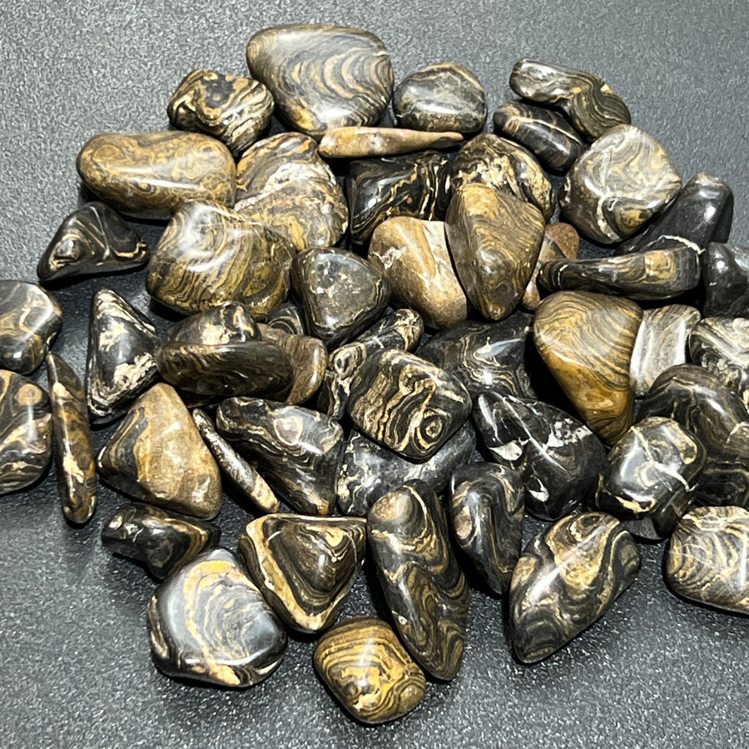 Tumbled Stromatolite Fossil Stone (1/2 lb) 8 oz Bulk Wholesale Lot Half Pound Natural Gemstones Crystals