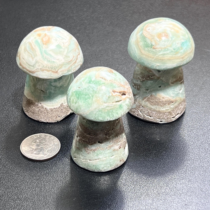 Caribbean Calcite Mushroom Carving