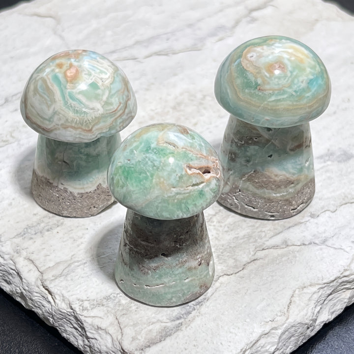 Caribbean Calcite Mushroom Carving