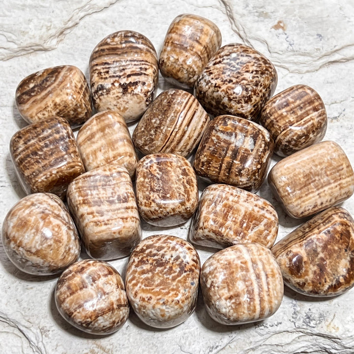 Banded Aragonite Tumbled Stones (By The Piece Or Pound)