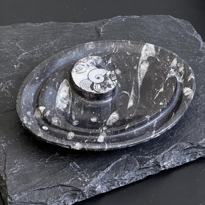 Orthoceras And Ammonite Fossil Stone Change Dish Carving (8 inches)