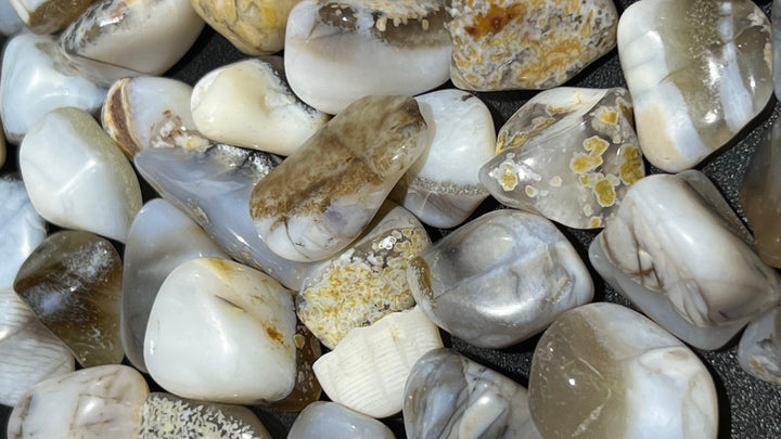 Bulk Wholesale Lot 1 LB Gray Brown Chalcedony One Pound Tumbled Polished Stones Natural Gemstones Crystals