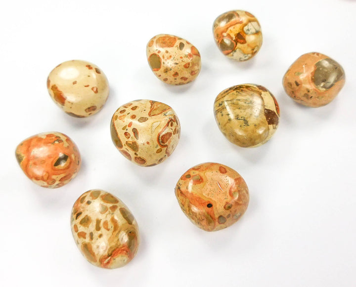 Bulk Wholesale Lot 1 Kilo (2.2 LBs) Leopardite - Tumbled Stones