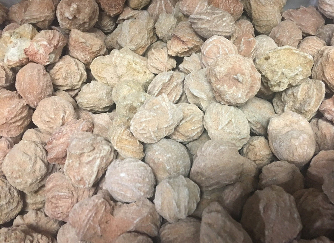 Bulk Wholesale Lot (1 LB) Desert Rose Selenite - One Pound Rough Raw Stones