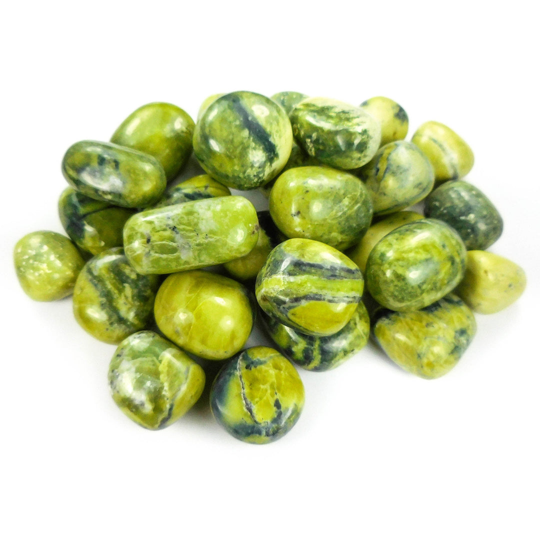 Serpentine (3 Pcs) Green Tumbled Gemstone CE17