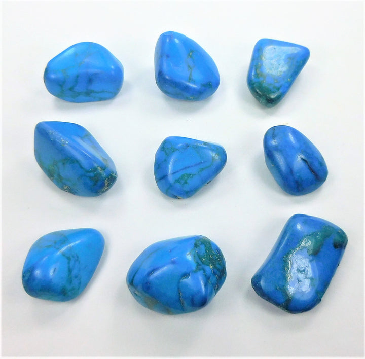 Bulk Wholesale Lot (1 LB) Blue Howlite - One Pound Tumbled Stones