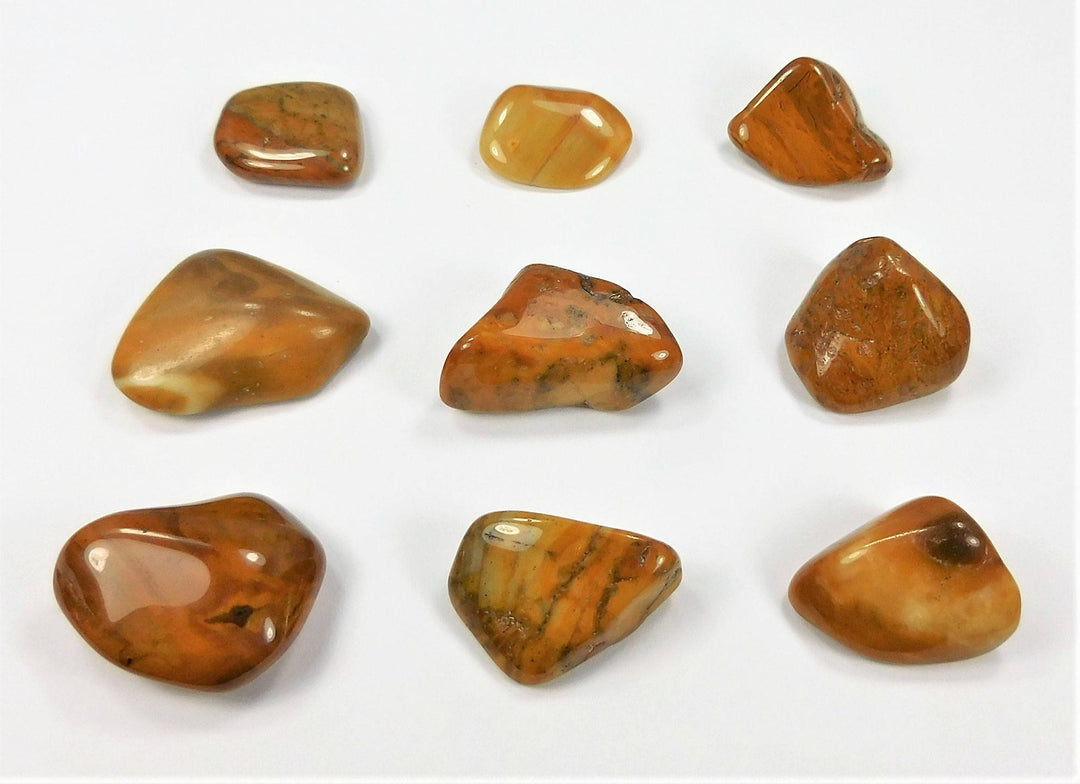 Yellow Jasper (3 Pcs) Tumbled Gemstone - Natural Stone Polished Gemstones Pocket Rocks