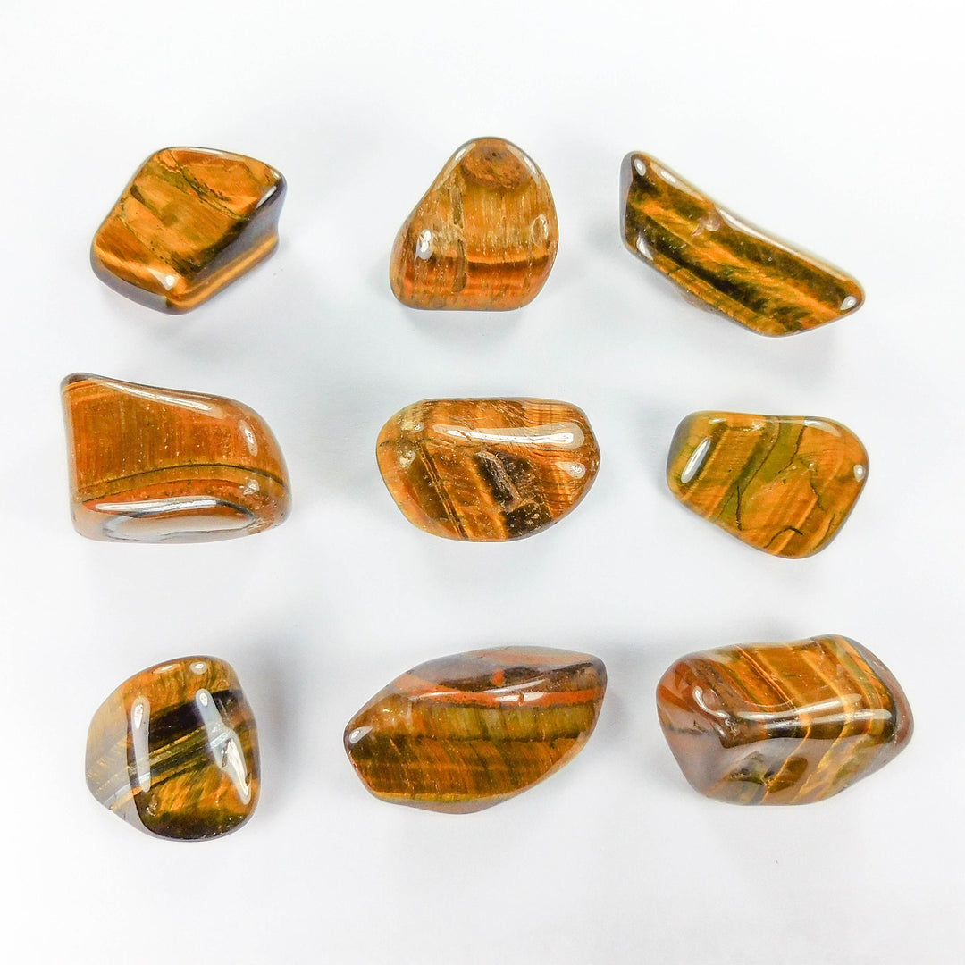 Tumbled Tigers Eye (1/2 lb) 8 oz Bulk Wholesale Lot Half Pound Polished Stones Natural Gemstones Crystals