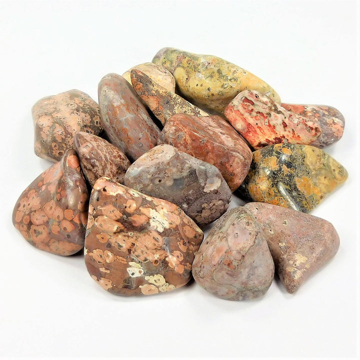 Bulk Wholesale Lot (1 LB) Leopard Skin Jasper - One Pound Tumbled Stones