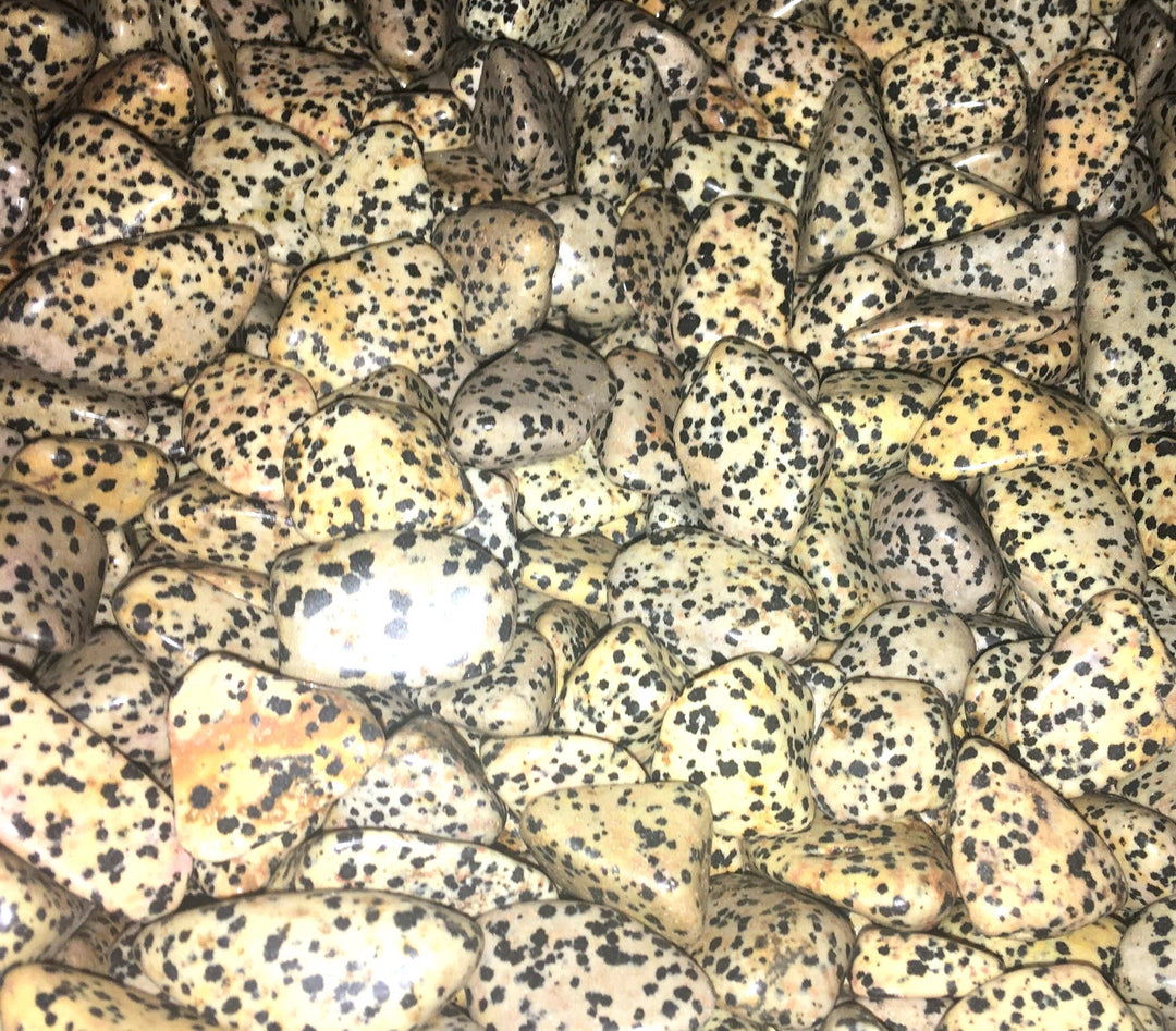 Bulk Wholesale Lot (1 LB) Spotted Dalmation Jasper - One Pound Tumbled Stones