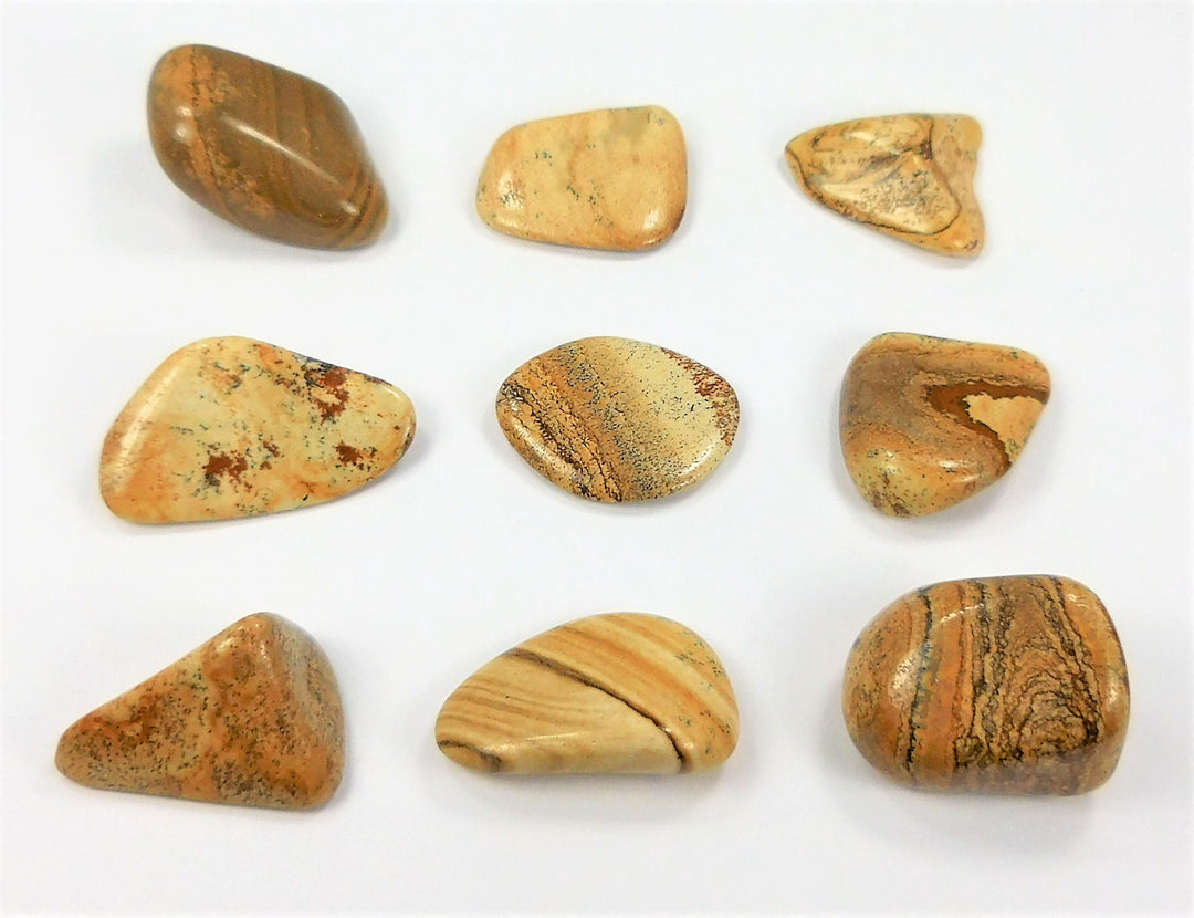 Tumbled Picture Jasper (3 Pcs) Gemstone Natural Stone Polished Gemstones Rocks Minerals Healing Crystals And Stones