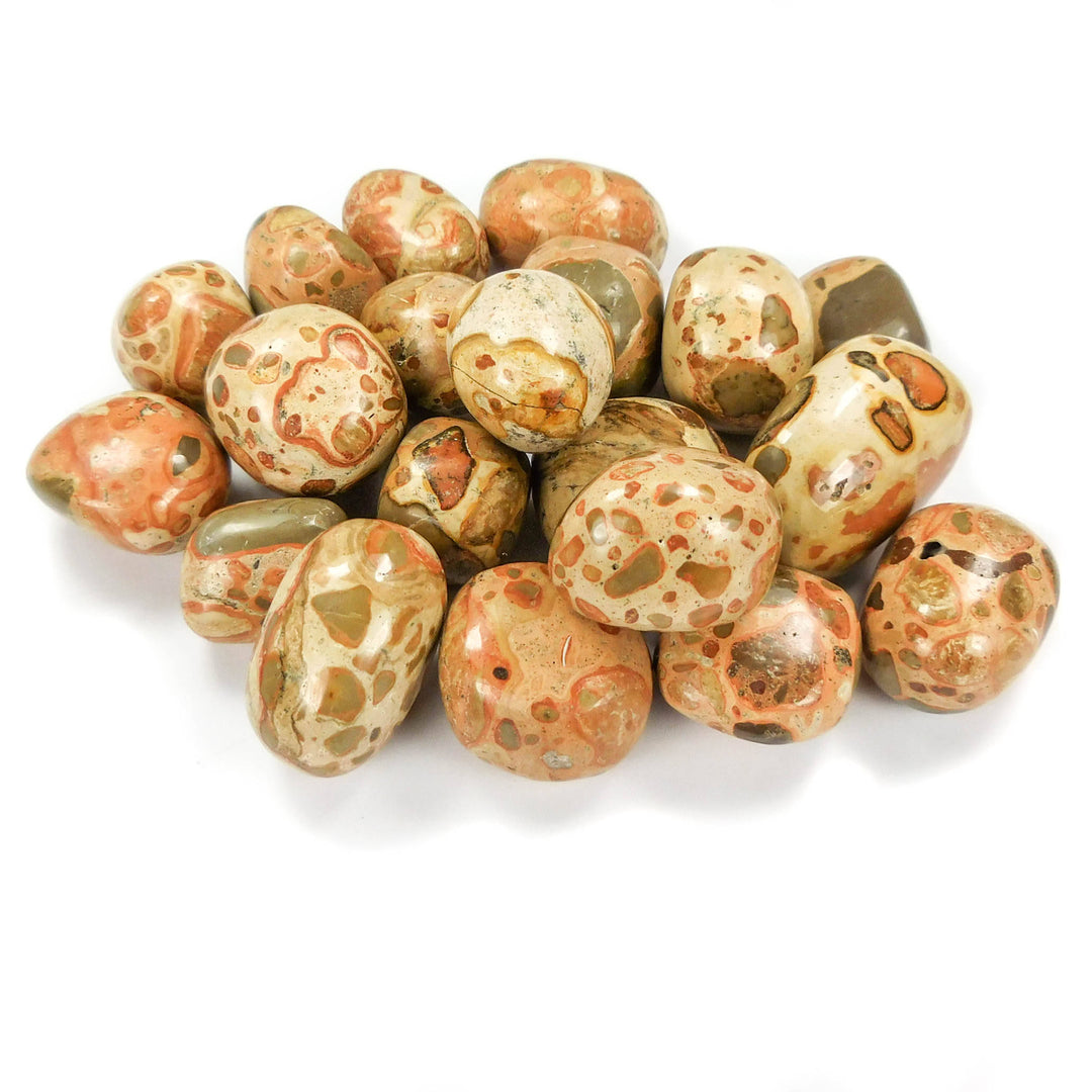 Leopardite (3 Pcs) Leopard Skin Jasper CE21 Tumbled Gemstones