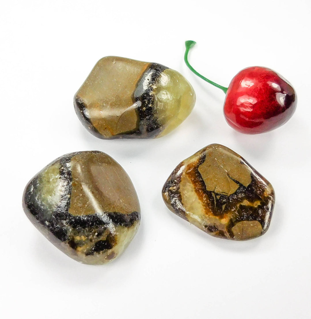 Septarian Nodule Tumbled (UV Reactive)(1 LB) One Pound Bulk Wholesale Lot Polished Natural Gemstones
